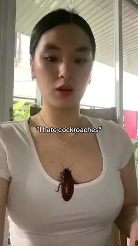 cockroach ver