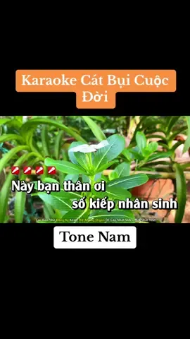 Karaoke Cát Bụi Cuộc Đời Tone Nam #karaokethekhang #catbuicuocdoi #tonenam 