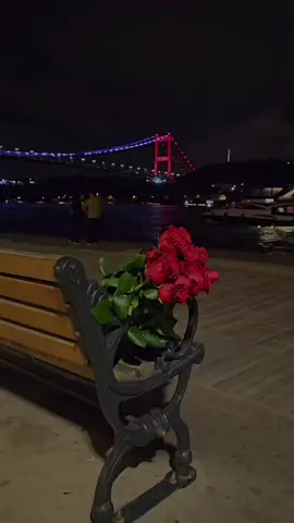 Pamela / Seni Unutmaya Ömür Yeter Mi 🎵 ________ #pamela #seniunutmayaömrümyetermi #cover #ümitbesen #slow #arabesk #müzik #notadanşarkılar 