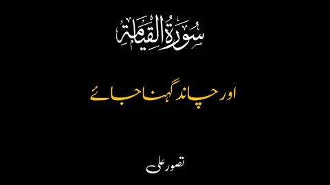 Surah Qayammah | Verse 1-10 | Urdu Tarjuma | #Quranrecitation #urdu_translation #foryou #blackscreen 