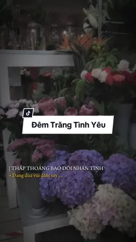 #CapCut Đêm Trăng Tình Yêu Remix #annie06 #capcutmaster #xuhuong2023 #fyp #trend #Master2023byTikTok 