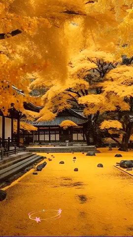 Beautiful scenery#scenery #tiktok #fouyou #fouyoupage #fyp 