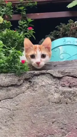 ☺️
