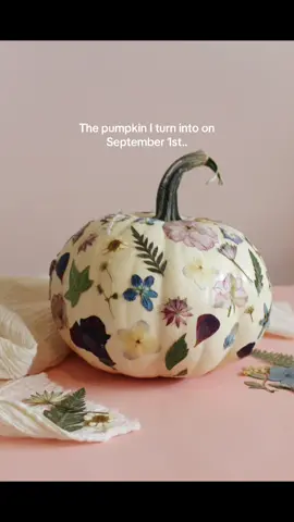 me in pumpkin form… #autumn #pressedflowers #pumpkinseason 