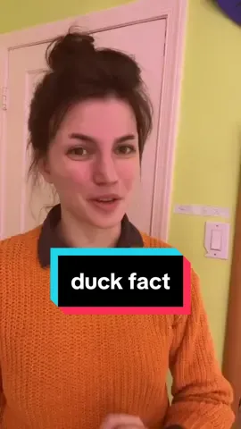 #mindblown #funny #funfacts #science #biology #birds #dinosaur 