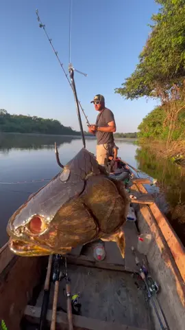 Carnada grande…Pescado grande!! Buen domingo gente, hoy a las 20 hs sale el primer capítulo de la mini serie Selva Boliviana. (Canal de YouTube- Tiempo De Pesca) y mañana lunes en la tele a las 22 por la pantalla de America Sports #arapaima #pirarara #bolivia🇧🇴tiktok #tiempodepesca #pablodisanti #argentinatiktok 