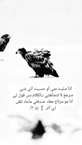 #الحمدلله_دائماً_وابداً🥀🖤🍃 @🚶🏼‍♀️زهرة جميلة الطله 🇪🇬 مساء الخير حبيبه قلبي ❤️