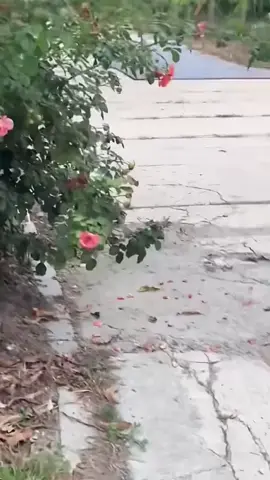 ☺️