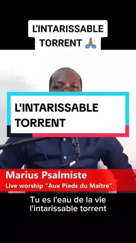 L'INTARISSABLE TORRENT #dieu #louange #adoration #louangeadoration #tiktok #tiktok #viral