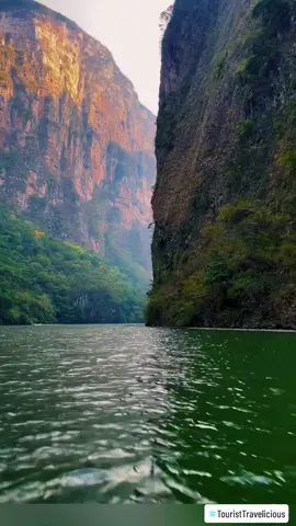 ✨Sumidero Canyon, Chiapas Mexico 🇲🇽 ✨Cañón del Sumidero, Chiapas Mexico🇲🇽 #mexico #usa #travel #travelmexico #mexicotravel #mexicotiktok #mountain #sumiderocanyon #naturelovers #Summer #familytime #travelblogger #travellover #vacation #naturelovers #fypage #fyp*> #foryoupage #2023 #❤️ 