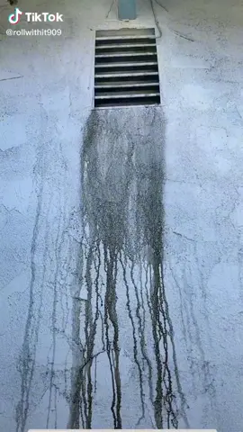 #foryou #powerwashing #oddlysatisfying 