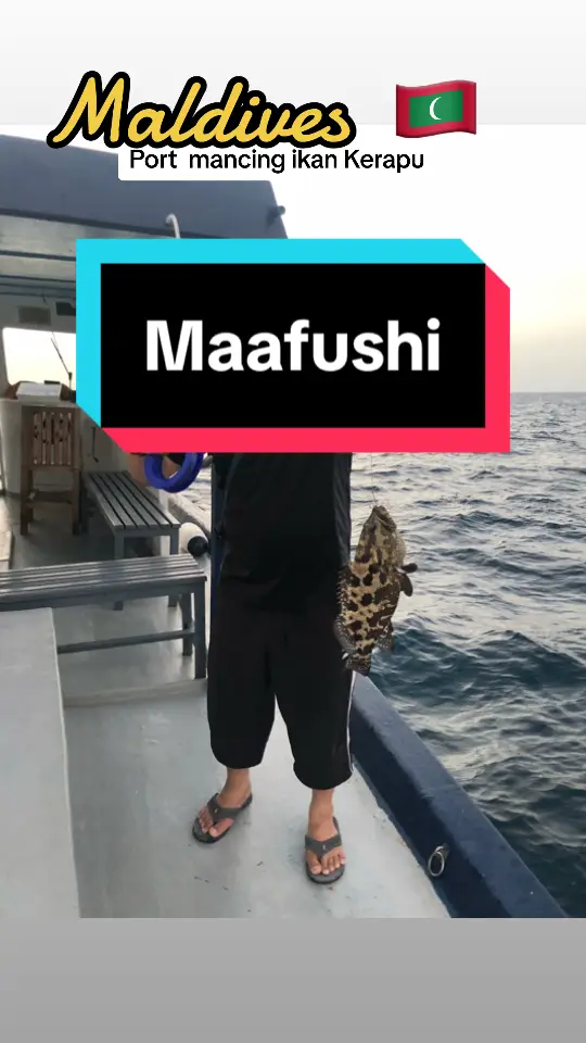 #maafushi #fishing 