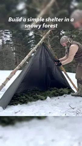 Build a simple shelter in a snowy forest #build #camping #survival #survivaltips #bushcraft #snowy #solo #fyp #foryou