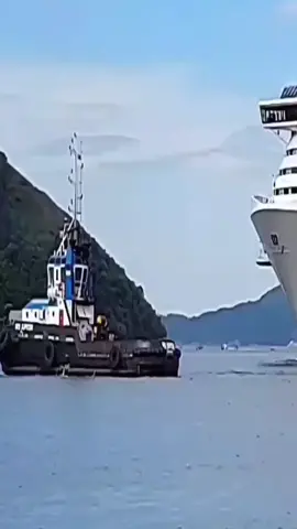 Ship fail #beaching #ships #shiplaunchfail #shipping #bigship 
