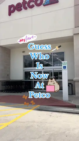 Native Pet at Petco? Yes, please 🙌🏻🛒 #nativepet #petco #dogmom #dogfood #dognutrition #dogfoodtoppers #petcofinds #shopwithme #petsupplies 