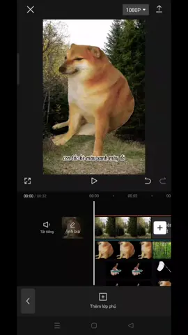 hậu trường edit video #xuhuong#hautruongeditcapcut🎬#sad8174#fyp 