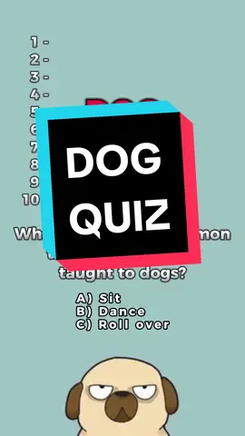 What dog do you own ? #dog #dogs #quiz #trivia 