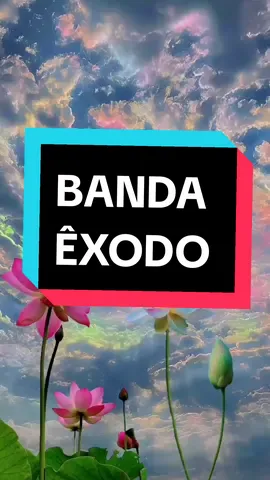 Para nossa alegria #bandaexodo #statusgospel2023 #reflexaoevangelica #louvoreadoracao #reflexaoevangelica #statusgospel #musicasgospel #gospelvideos #louvorgospel 