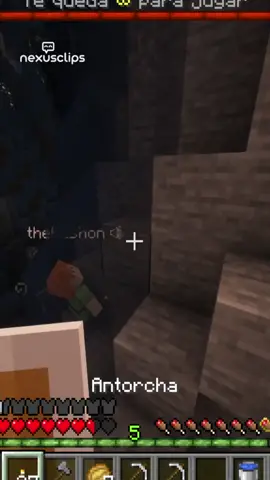 1er dia y ya se nos fue @thebushon #Minecraft #twitchstreamer