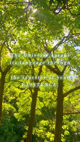 Are you listening? #signsfromtheuniverse #signsfromangels #theuniversehasyourback 