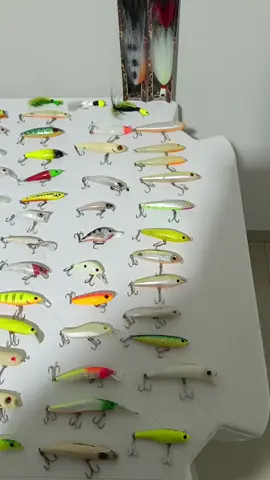 #pesca #pescaesportiva #pescaria #iscaartificial  #tucunare #dourado #piracanjuba #pesqueesolte 