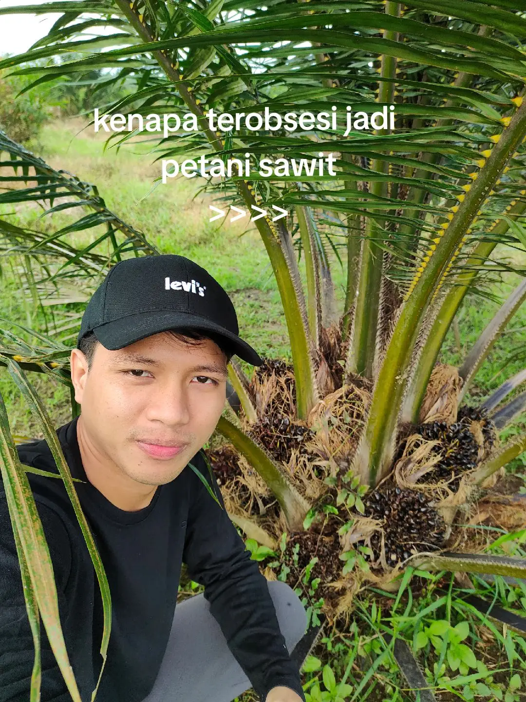 berawal dari mimpi, gas trus merintis 💪 #sawit  #petanisawit #petanimuda #petanisukses #sawitontiktok #kulisawit #bossmuda #bossawit #pekanbaru #riau 