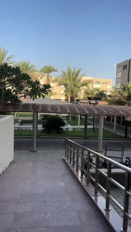 صباح الخير والسرور ✨🌞 ، محد ضيع في البداية كيف يفتح الباب 🌚  #اكسبلورexplore #مالي_خلق_احط_هاشتاقات #يومياتي #السكن #اكسبلورexplore #صباح_الخير 