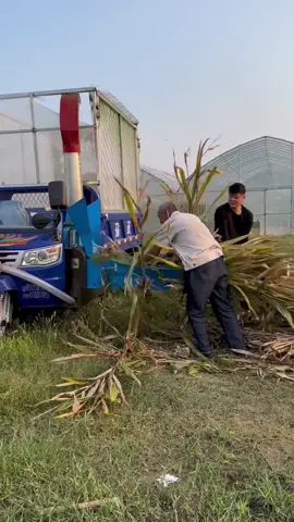 Three wheeled transport vehicle with crusher#machine #goodthings #tractor 
