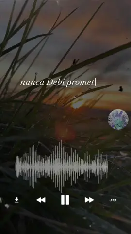 nunca debí prometerle tantas cosas 🪗#vallenatosdeoro #musica #lyrics_songs #lyrics #parati #vallenato #music #lyricsvideo 