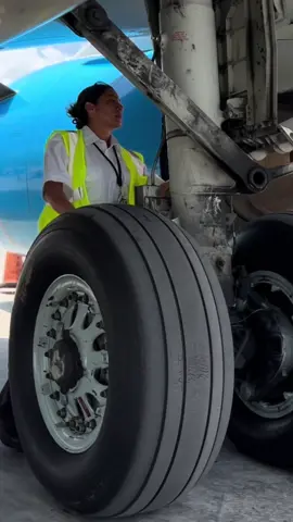 Discover the beauty of aviation with FEAM Aero! • #aviation #aircraftmaintenance #aviationlovers #avgeek #avgeeks #aviationdaily #aviationphotography #airplane #airplanelovers #boeing #airbus #airplanetechnician #airplanemechanic #amt #mro #airplaneengine #airplaneturbine #engine #engineturbine #aircraft