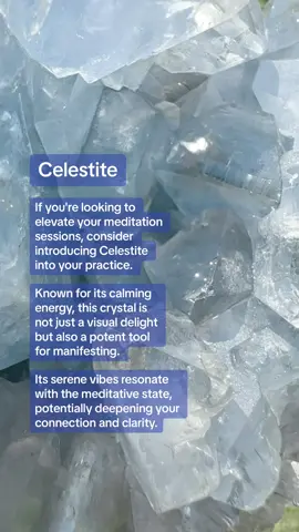 If you're looking to elevate your meditation sessions, consider introducing Celestite into your practice. Renowned for its calming energy, this crystal is not just a visual delight but also a potent tool for manifesting. Its serene vibes resonate with the meditative state, potentially deepening your connection and clarity. Plus, there's something special about its luminescent blue hue that just draws you in. Give it a try! 🌌💎✨ #studioselyn #manifestingwithcrystals #meditationtips #celestite #lightworkers #empathsoftiktok #ethicallysourcedcrystal #crystalhealing 