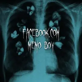 Memo Boy Facebook.com Slowed + Reverb #fypシ #foryou #foryoupage #audio #slowedandreverb #sloweddownaudios #dreamysolartune 