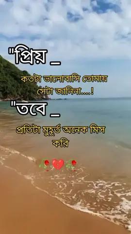 #foryou #foryoupage #bdtiktokbangladesh #I always miss you jan.