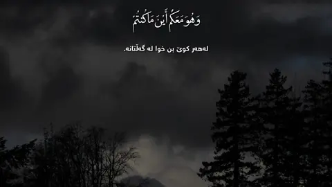 سورة الحديد #ادریس_ابکر #quran #islam  #✨🤍 