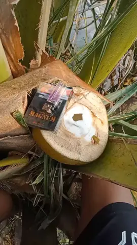 mentahan lagi ni bng#buatpranktemen #pesawahan#pedesaan#🌴🥥 #fypシ