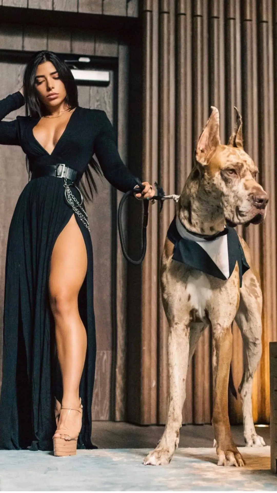 modeling with charlene 🖤 #dogsoftiktok #dogs #doglover