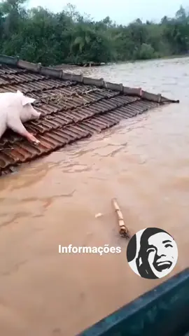 A chuva que atingiu o Rio Grande do Sul, principalmente entre segunda (4) e terça-feira (5), causou mortes e graves estragos. A combinação de um ciclone com baixa pressão e umidade provocou a chuva forte que atingiu o RS na segunda-feira (4) Trinta e uma pessoas morreram nas cidades de Muçum, Roca Sales, Estrela, Lajeado, Mato Castelhano, Passo Fundo e Ibiraiaras. O Estado tem mais de uma dezena de rodovias com bloqueios. Pontes, estradas e casas foram danificadas pela água, principalmente nos vales do Taquari e do Caí, na Região Norte e na Serra. Créditos @tudo_e_geografia Remix @douglaslocutor10 #enchente #riograndedosul #chuva #clima #ciclone #teresopolis #tempo #temporal #brasil #ciclone #defesacivil #mucum #noticias #atualidades #douglaslocutor10 