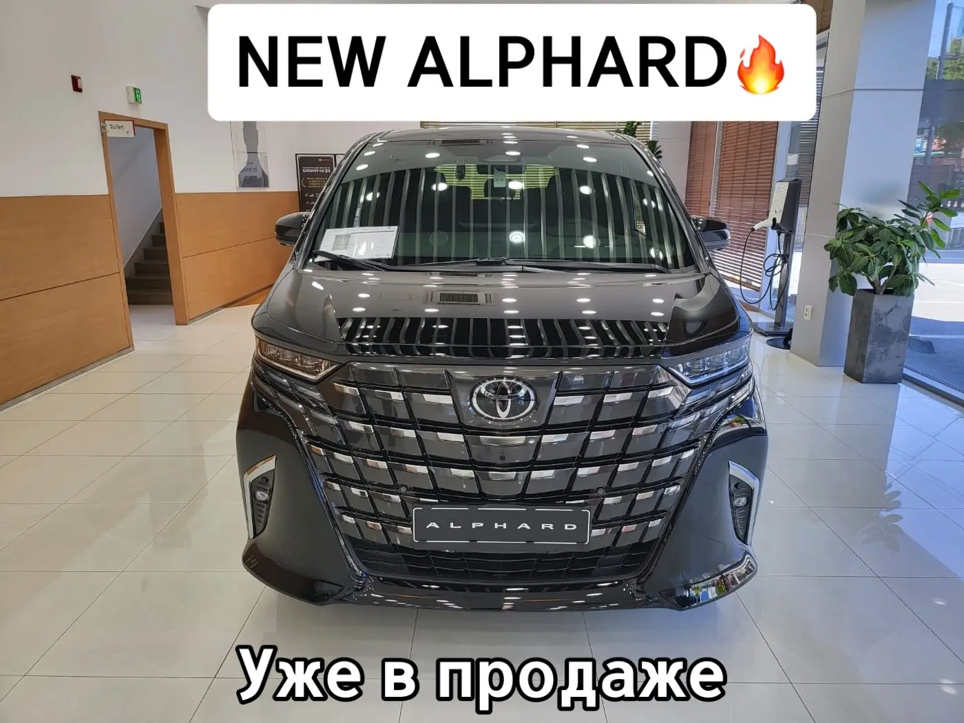 #alphard#автокорея #toyota 