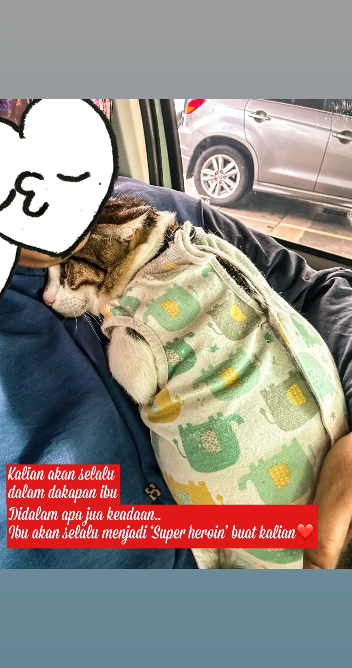 Setiap hari setiap masa setiap detik.. ibu selalu rasa ibu sgt bertuah.. kerana silih berganti ank² hebat ini dalam dakapan ibu.. yg mana telah pergi mgkin tiada lg hangatnya dakapan, namun abadi di sanubari… sayang semuaaaanya… moga terus kuat dan sihat ya syg² ibu… ibu akan pertahankan kalian walau dilanda apa jua… ❤️ #ceritakucingkatsumi #gengpamperskatsumi #fromstraytostay #superibu #fyp #kku 