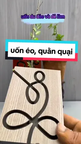 có khuôn thì ai cũng có thể làm đc, 10 cây như 10 #chiase #meohay #langcaytaybac #thichtrongcay #chiasekinhnghiem #bonsai 