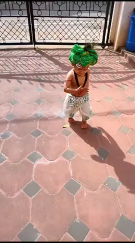 krishana g 