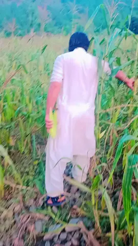 #Da kalee maxegr.. 🌽🌽🌽