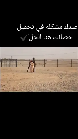 #خيل وخياله@✔️سلمان آل دهمان 