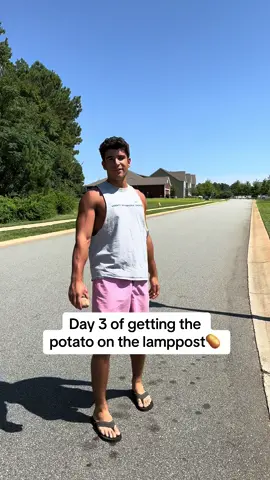 Day 3🥔 #potato #lamppost #series @gavin younce 