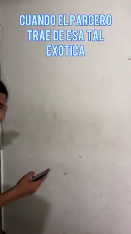Cuando traen esa tal exotica 🤣🤣 #humor #septiembre #exotica #wee  #amigos  #viral @Kmyy420 @ZETAA.co 