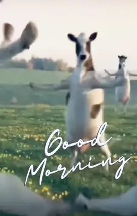 🐄 #tgif #fyp #meme #goodmorning #cow #xuhuong #comedyvideo 🐄 DISCLAIMER: Contents are not original source. All rights belong to their respective creator(s) No copyright infringement or commercial benefits intended. Sharing for fun/laughter only