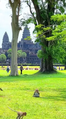 ប្រាសាទអង្គរ​វត្ត របស់ប្រទេសជាតិខ្ញុំ​ ពិតជាស្រស់ស្អាត​ណាស់💝🙏 គ្មានអ្វីយកមក​ ប្រៀបប្រដូច​បាទទេ​ គឺមានតែមួយក្នុង​ សកលលោក​💝💖 #ប្រាសាទអង្គរវត្ត #អង្គរវត្តកម្ពុជា #ប្រាសាទអង្គរ #ប្រាសាទអង្គរវត្ត🥰🇰🇭ប្រាសាទខ្មែរ🇰🇭 #viral #viralvideo 