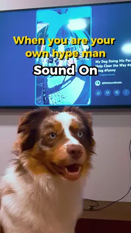 When You are your own best hype man #Fyp #foryou #dog #dogsofttiktok #funny