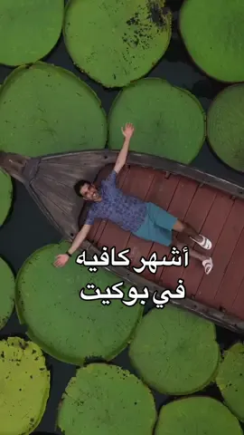 كوفي  Ma Doo Bua في مدينة بوكيت  مميز للناس اللي تحب التصوير فيه بحيرة صناعية مغطاه بنبات الليلي باد بأحجام كبيرة  الكوفي عندهم مشروبات وحلويات ووجبات 😋  تقدر تصور بروحك بزاوية وحدة فقط بدون ماتوصل منطقة القوارب وعندهم عدة باقات للتصوير يعني ياخذو لك لقطات فيديو بالدرون مع صور ب 1100بات  شرايكم بالمكان😍