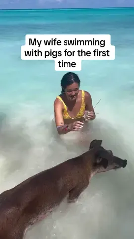 It was genuinely so cute seeing how happy she was to feed em 🥹 #meghanandjack 